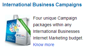 International Business Campaigns 